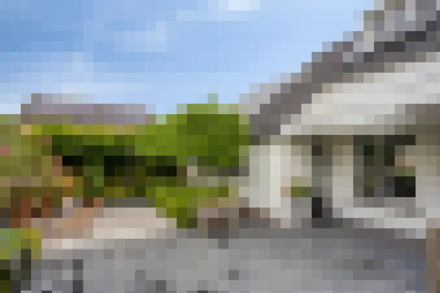 Berberisstraat 2 Nederweert thumbnail 51