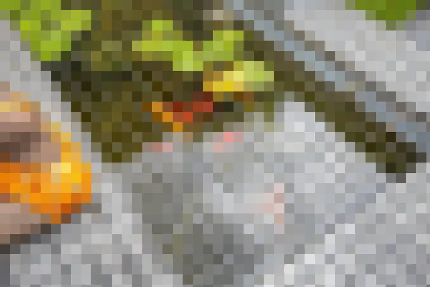 Berberisstraat 2 Nederweert thumbnail 53
