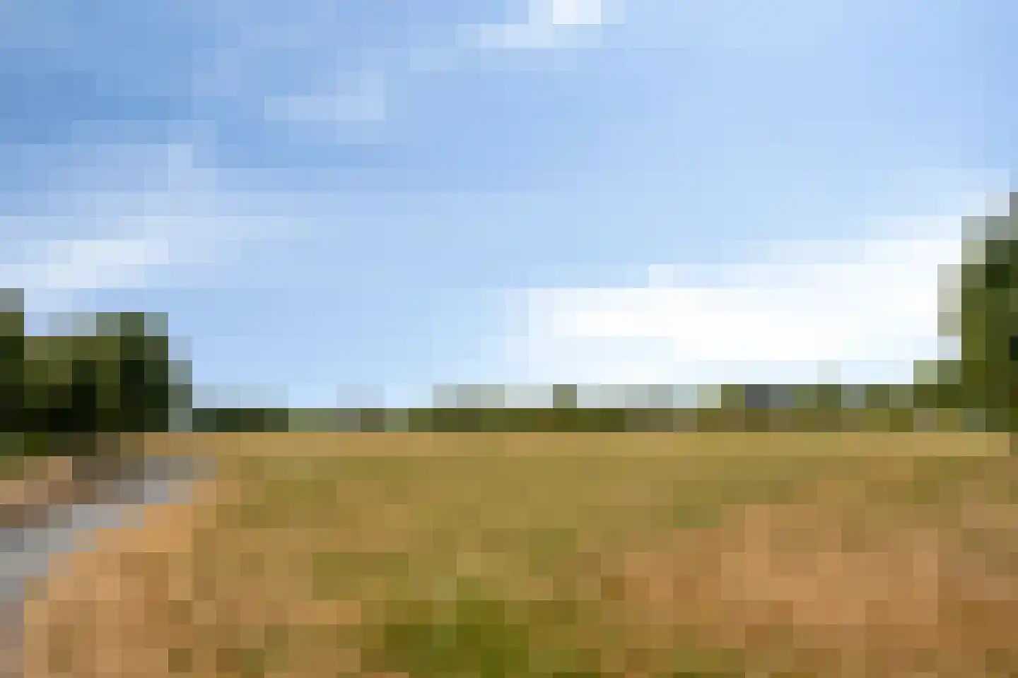 Berberisstraat 2 Nederweert thumbnail 62