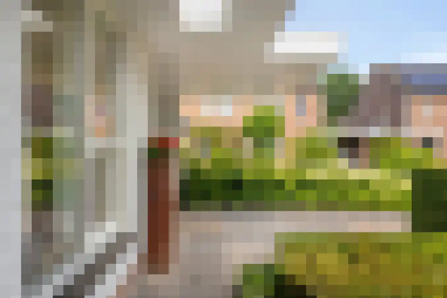 Berberisstraat 2 Nederweert thumbnail 8