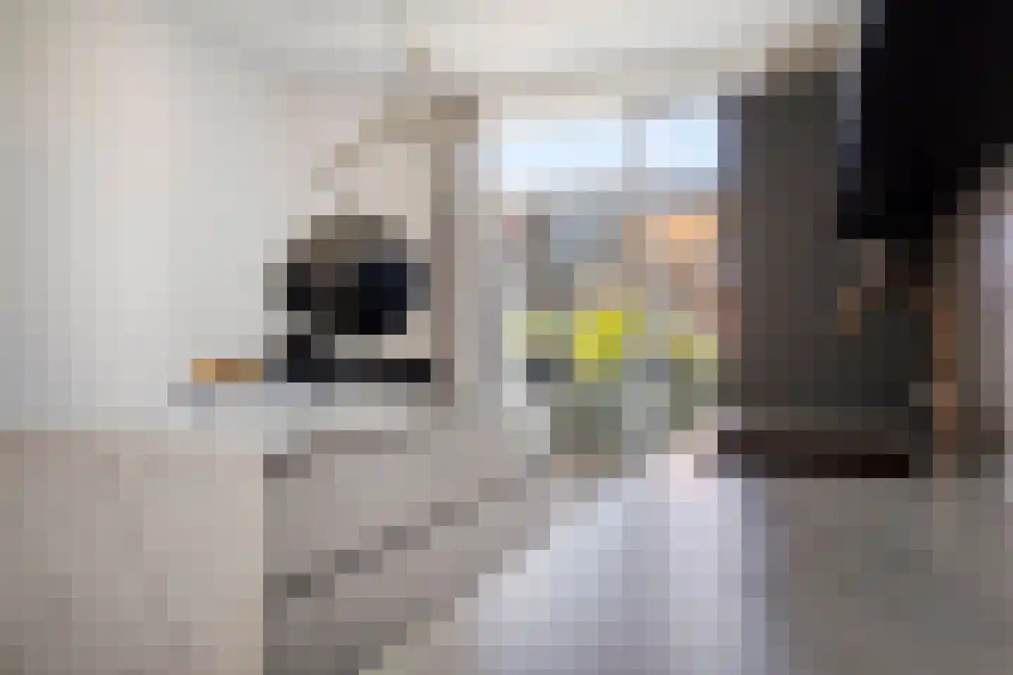 Berberisstraat 21 Den Haag thumbnail 10