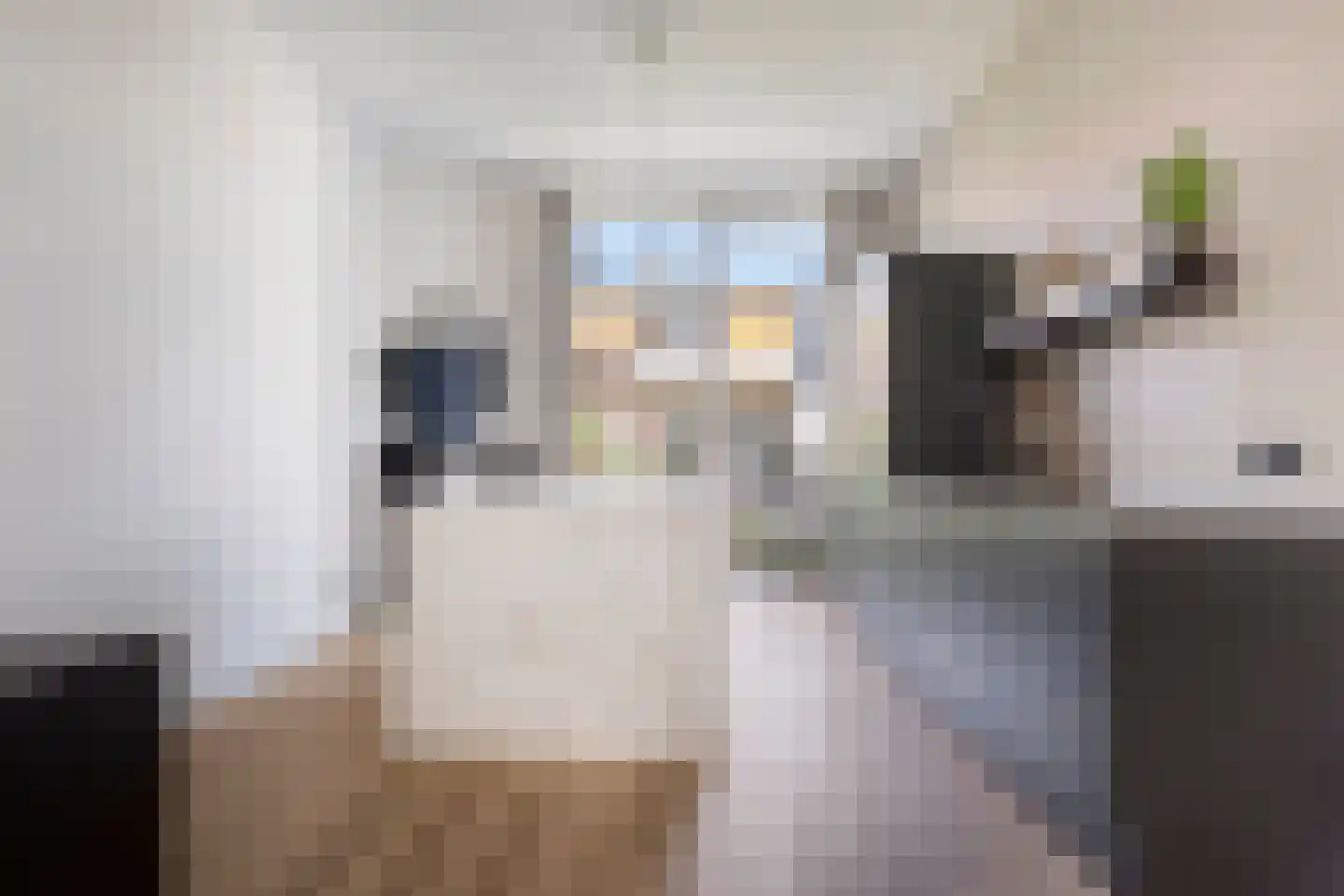 Berberisstraat 21 Den Haag thumbnail 8