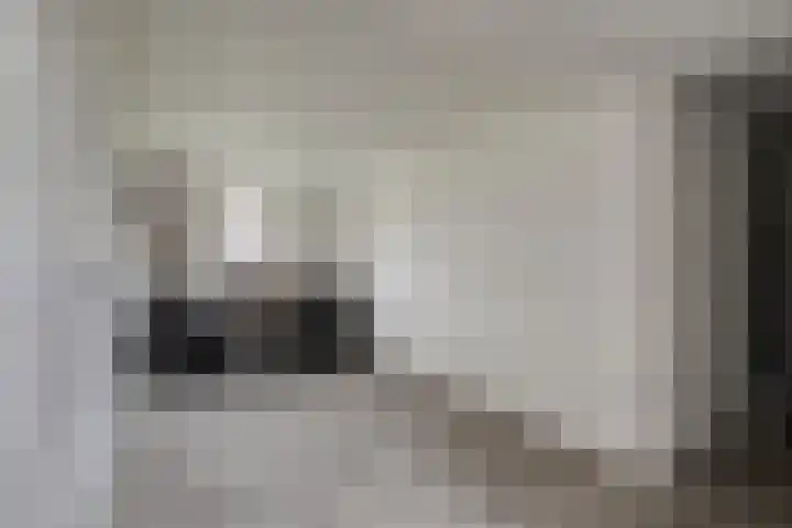 Berberisstraat 3 Hoogeveen thumbnail 24