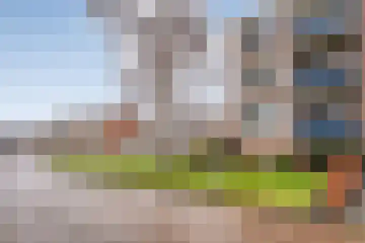 Berberisstraat 3 Hoogeveen thumbnail 29