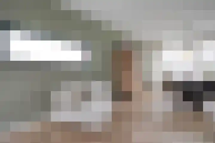 Berberisstraat 3 Hoogeveen thumbnail 6