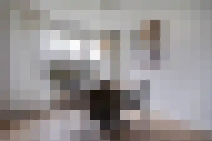 Berberisstraat 3 Hoogeveen thumbnail 8