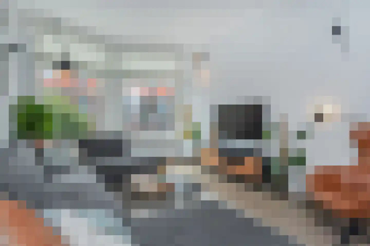 Berberisstraat 91 Den Haag thumbnail 5