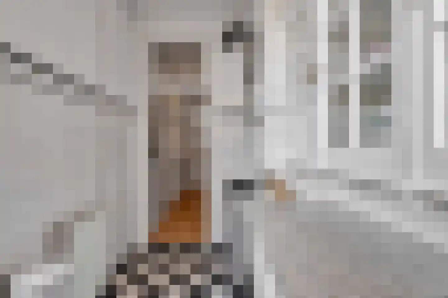 Berberisstraat 99 Den Haag thumbnail 15