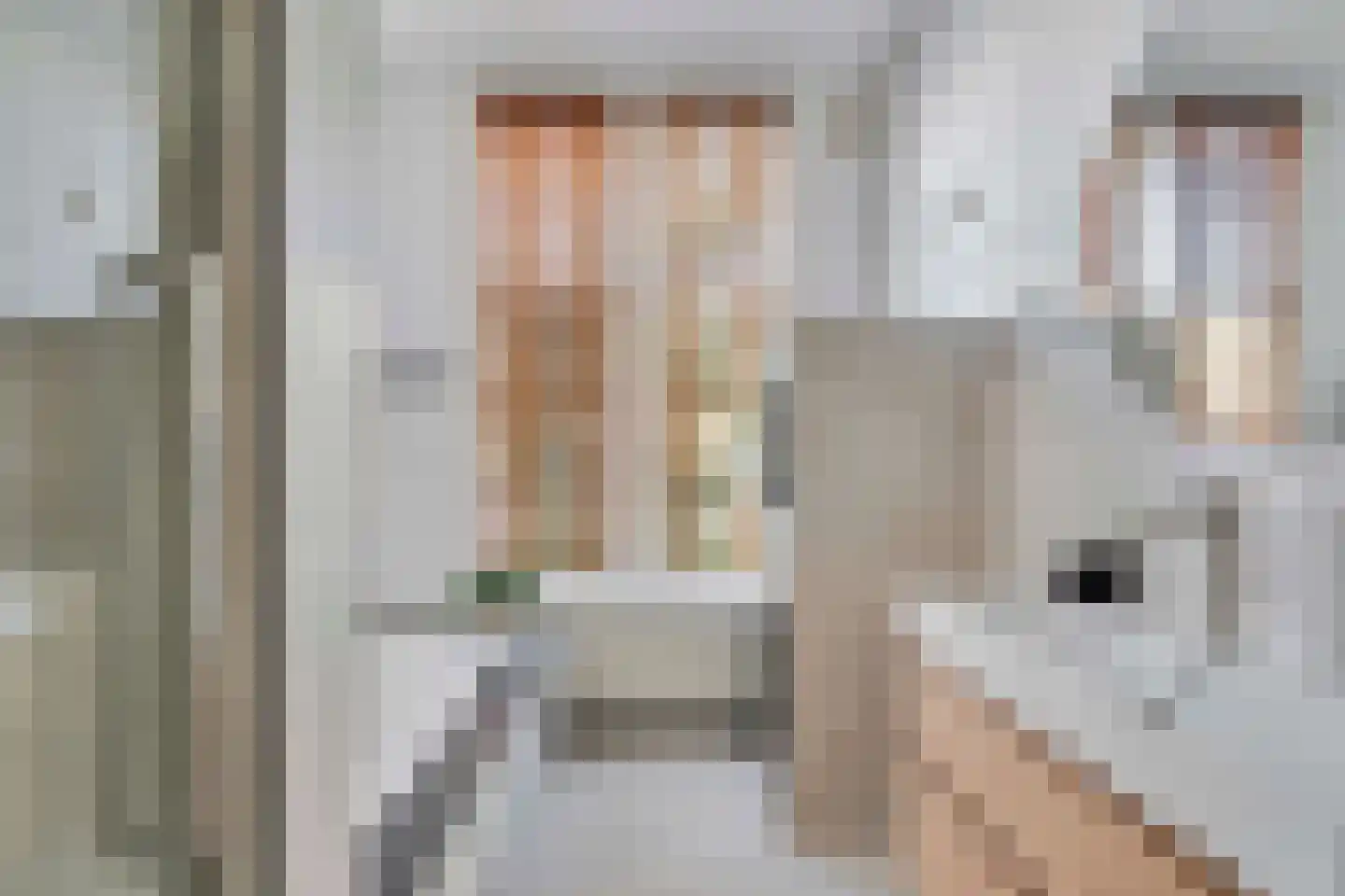 Berberisstraat 99 Den Haag thumbnail 23