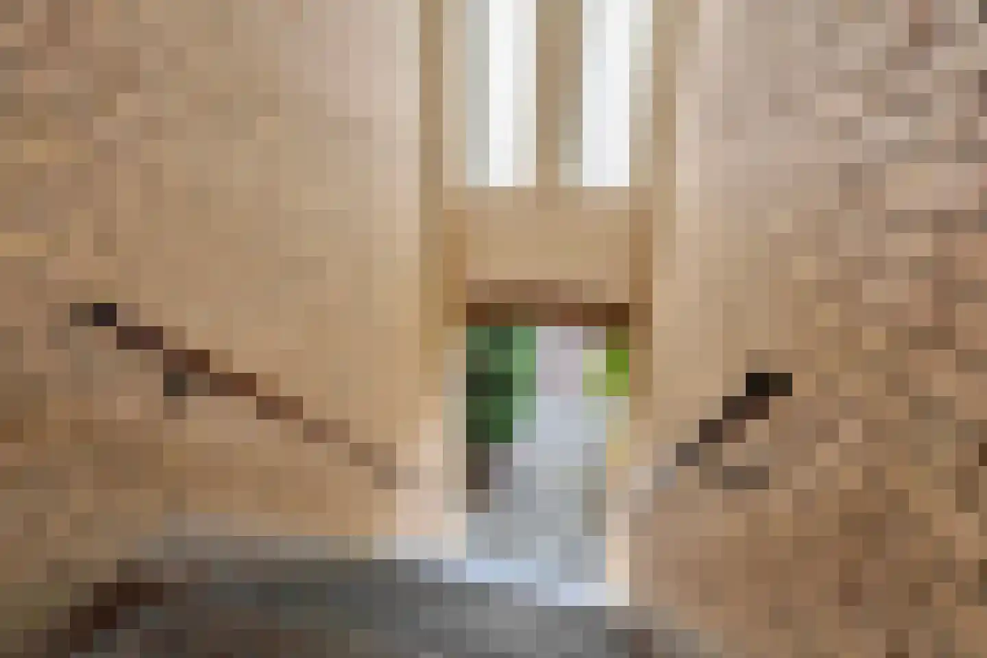 Berberisstraat 99 Den Haag thumbnail 35