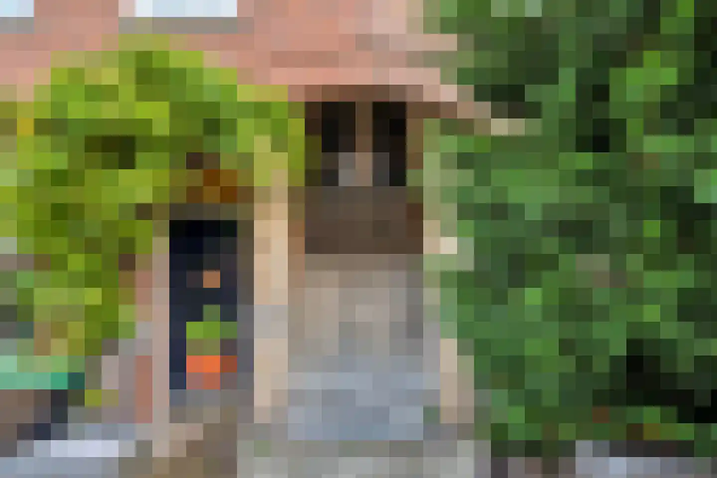 Berberisstraat 99 Den Haag thumbnail 36