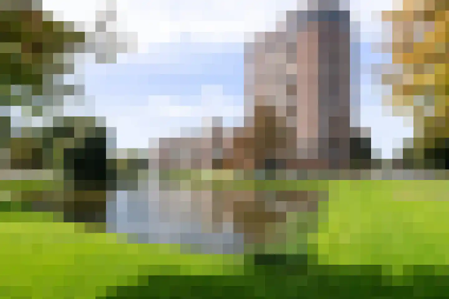 Berberisweg 294 Rotterdam thumbnail 19
