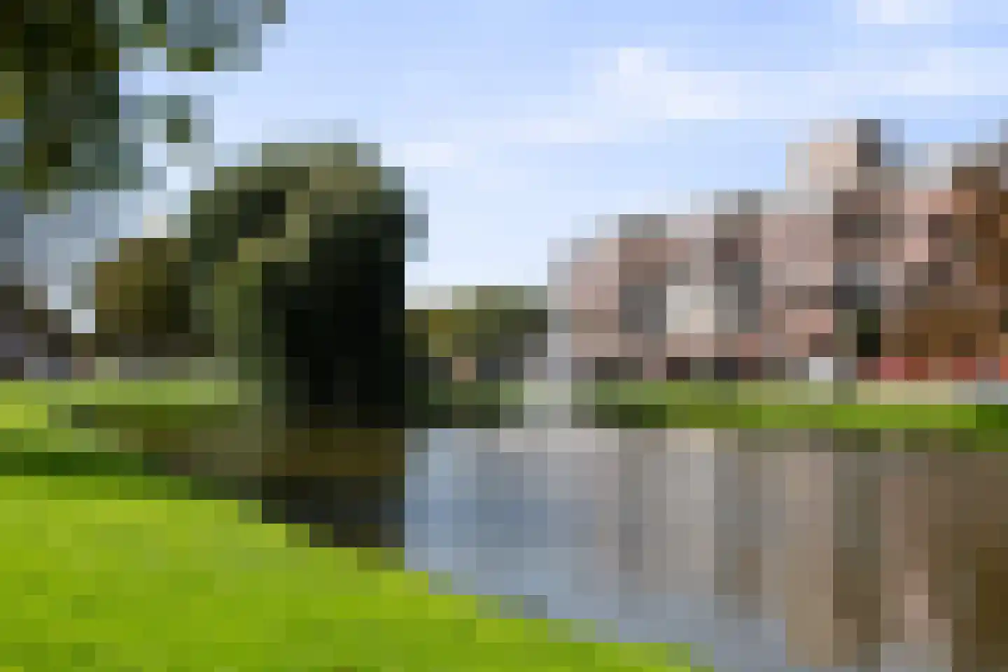 Berberisweg 294 Rotterdam thumbnail 20