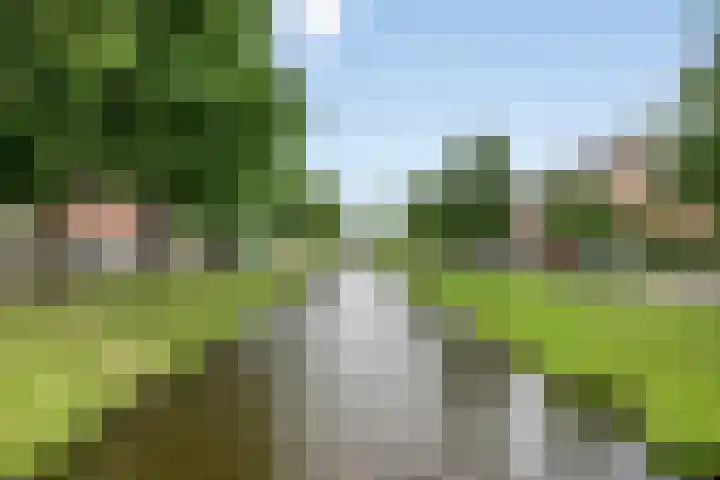 Berberisweg 322 Rotterdam thumbnail 32