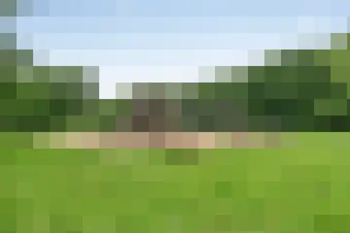 Berberisweg 322 Rotterdam thumbnail 33
