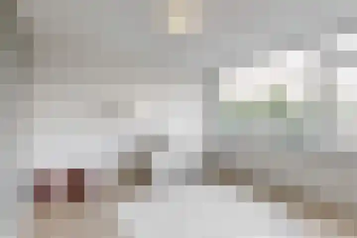 Berckheidelaan 31 Heerhugowaard thumbnail 12