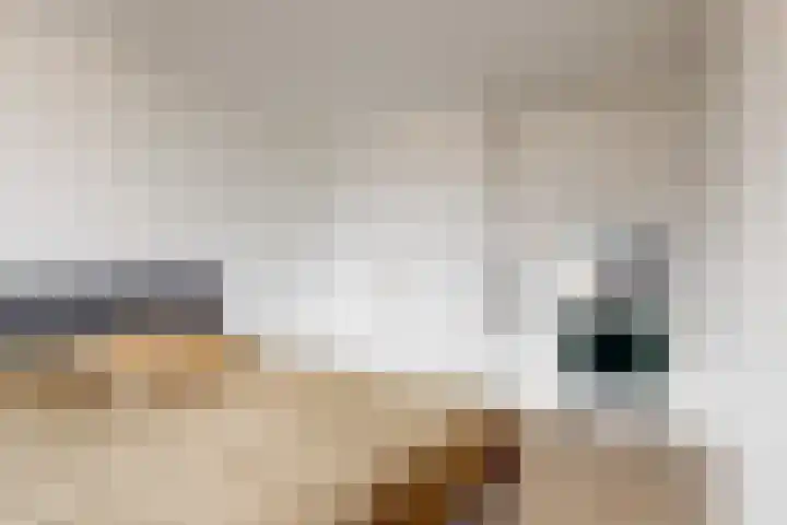 Berckheidelaan 31 Heerhugowaard thumbnail 15
