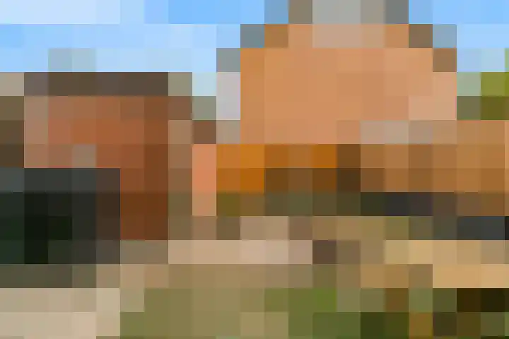 Berckheidelaan 31 Heerhugowaard thumbnail 30