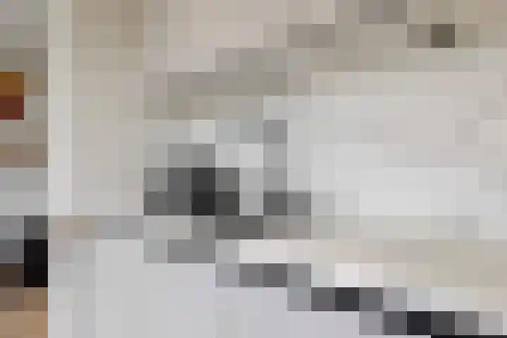 Berckheidelaan 31 Heerhugowaard thumbnail 8