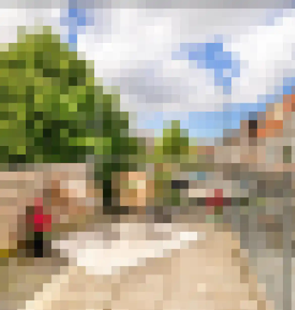 Berckheydestraat 21 RD Haarlem thumbnail 19