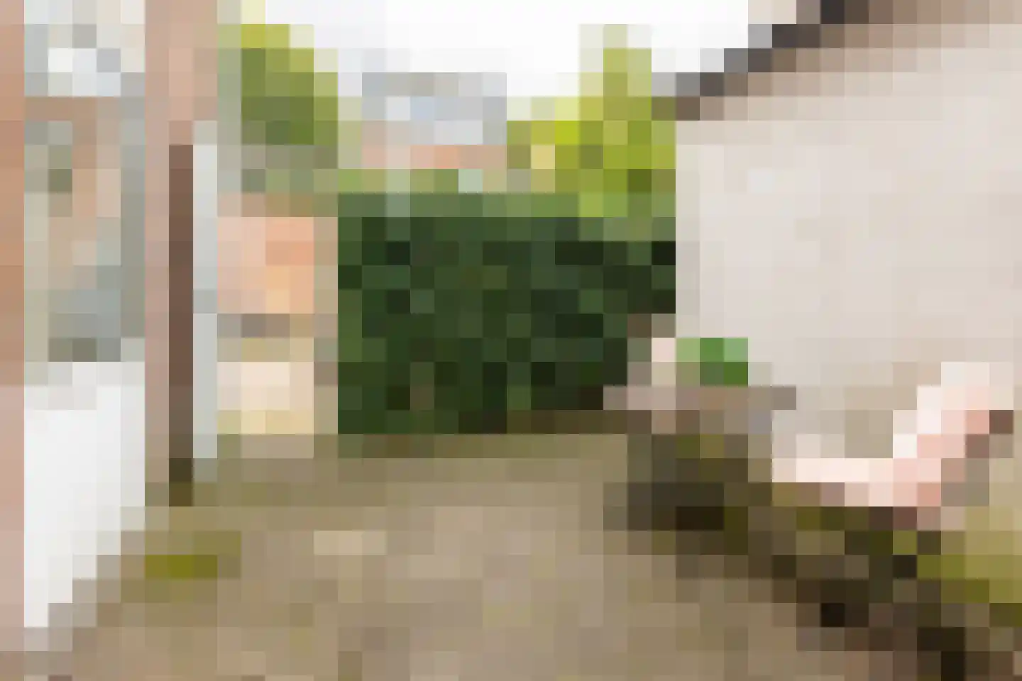 Berckheydestraat 29 ZW Haarlem thumbnail 18