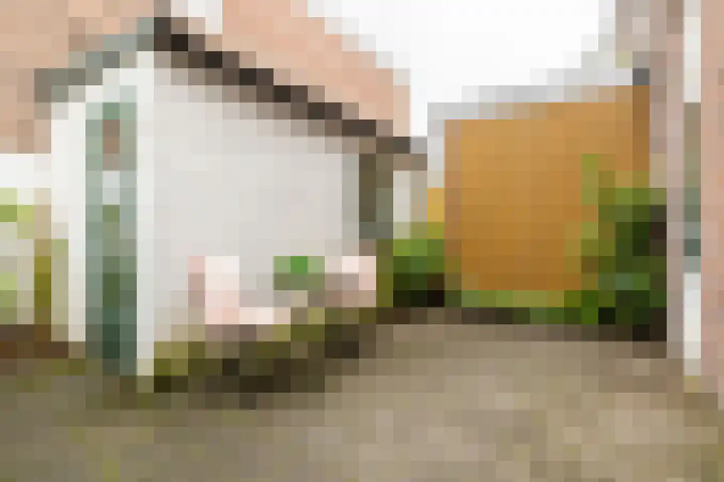 Berckheydestraat 29 ZW Haarlem thumbnail 5