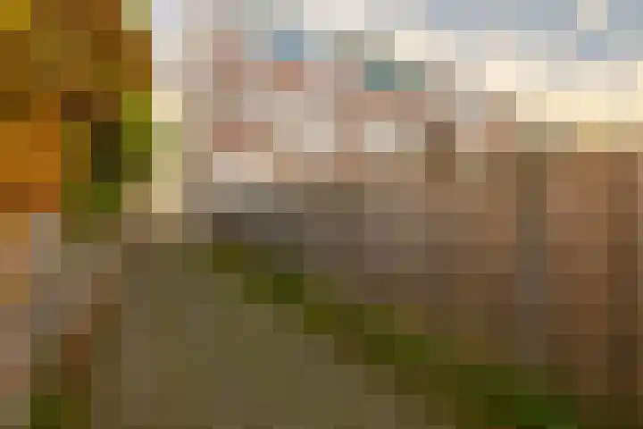 Berckheydestraat 5 ZW Haarlem thumbnail 24