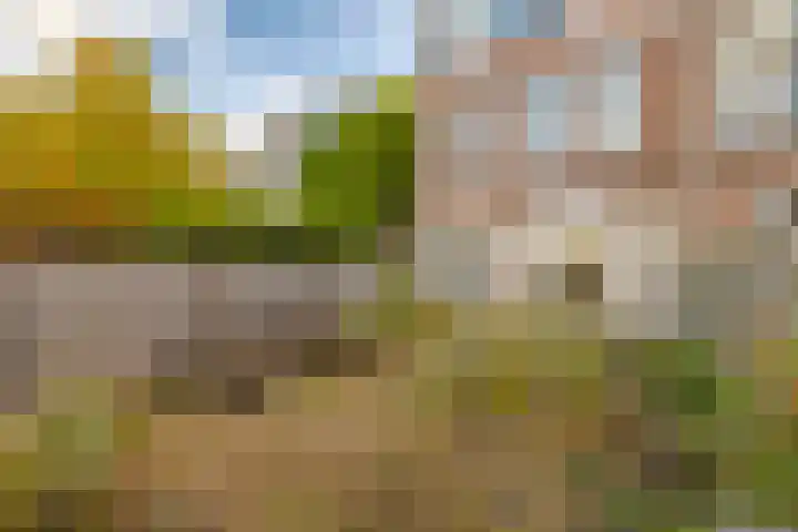 Berckheydestraat 5 ZW Haarlem thumbnail 4