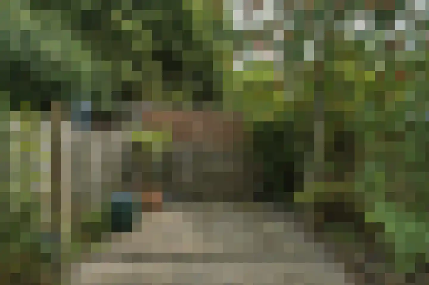 Berckheydestraat 6 Haarlem thumbnail 10
