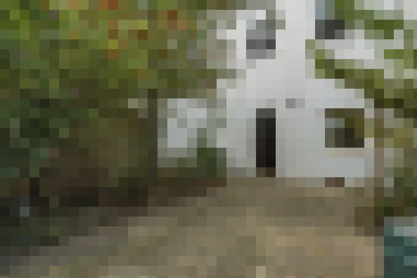 Berckheydestraat 6 Haarlem thumbnail 4