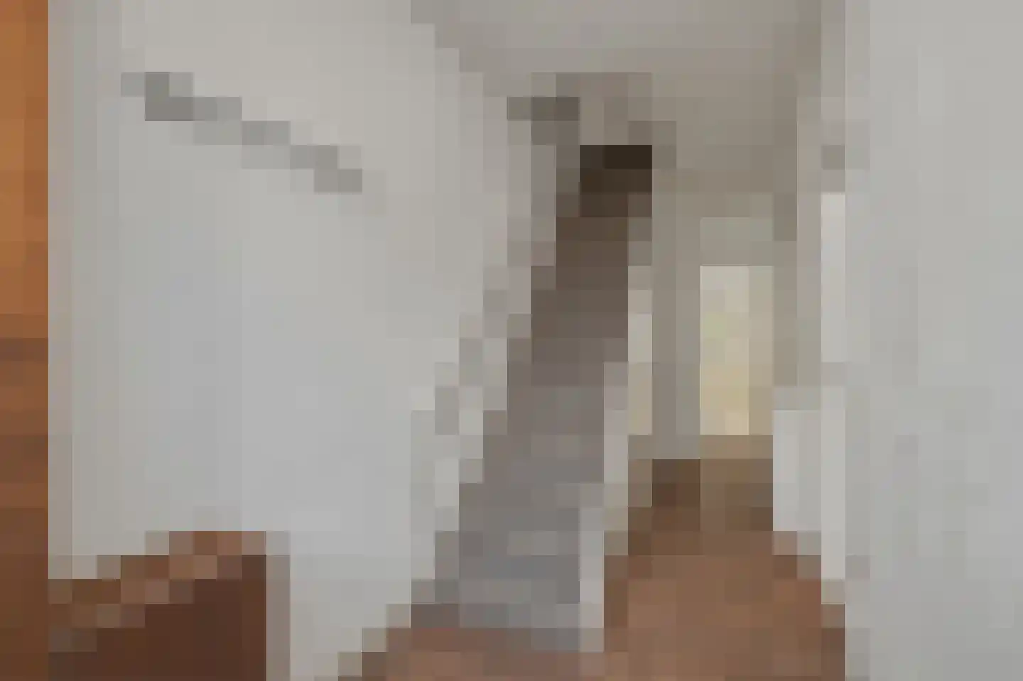 Berckheydestraat 6 Haarlem thumbnail 6