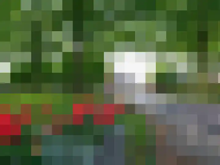 Bercoperweg 27 Makkinga thumbnail 26