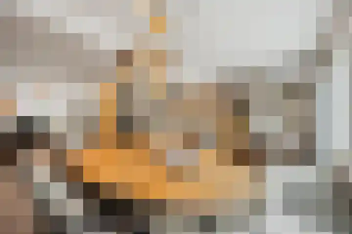 Bereklauw 1 Best thumbnail 13