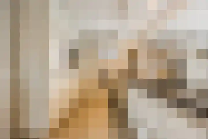 Bereklauw 1 Best thumbnail 16