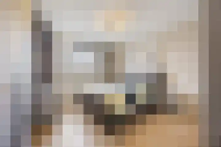 Bereklauw 1 Best thumbnail 21