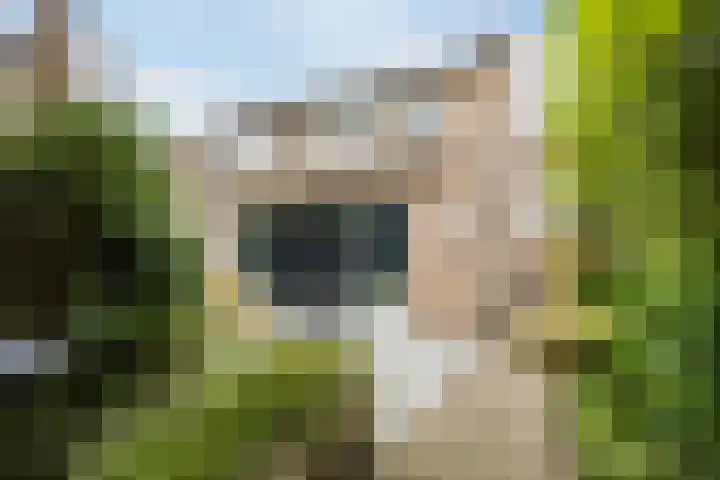 Bereklauw 1 Best thumbnail 35