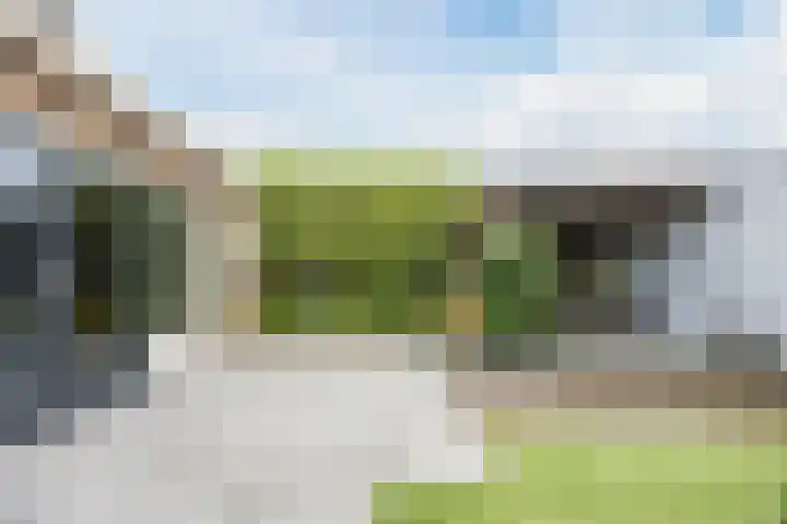 Bereklauw 1 Best thumbnail 36