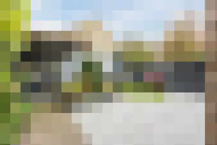 Bereklauw 1 Best thumbnail 37