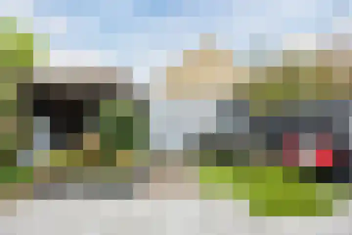 Bereklauw 1 Best thumbnail 38