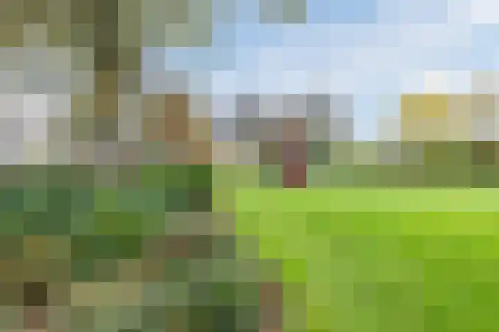 Bereklauw 1 Best thumbnail 47