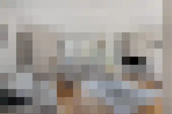 Bereklauw 1 Monnickendam thumbnail 10