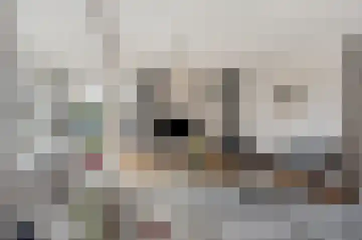 Bereklauw 1 Monnickendam thumbnail 11