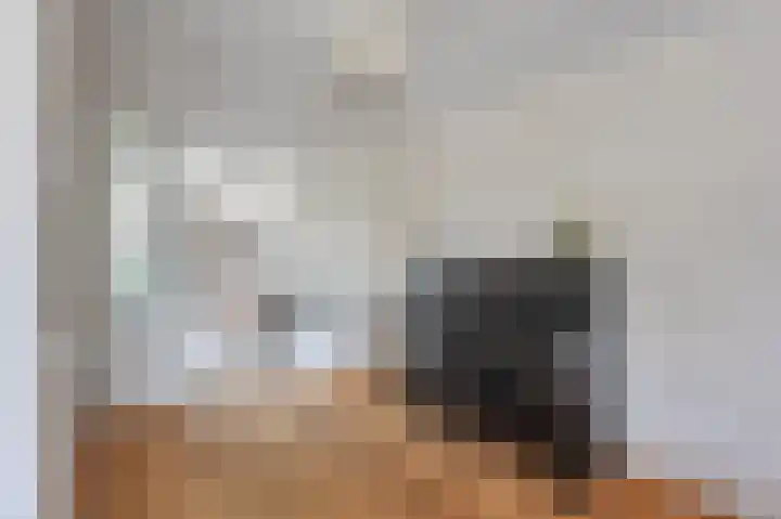 Bereklauw 1 Monnickendam thumbnail 12