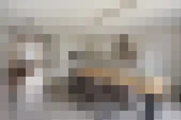 Bereklauw 1 Monnickendam thumbnail 13