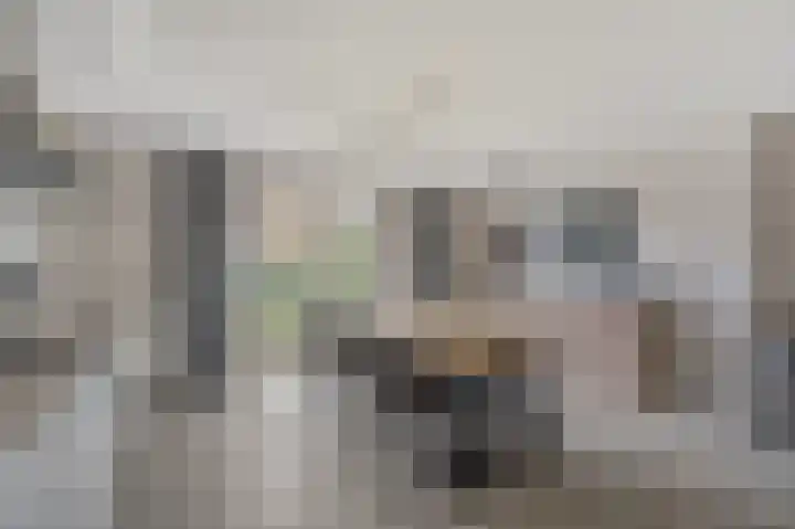 Bereklauw 1 Monnickendam thumbnail 15