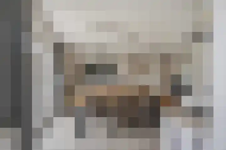 Bereklauw 1 Monnickendam thumbnail 16