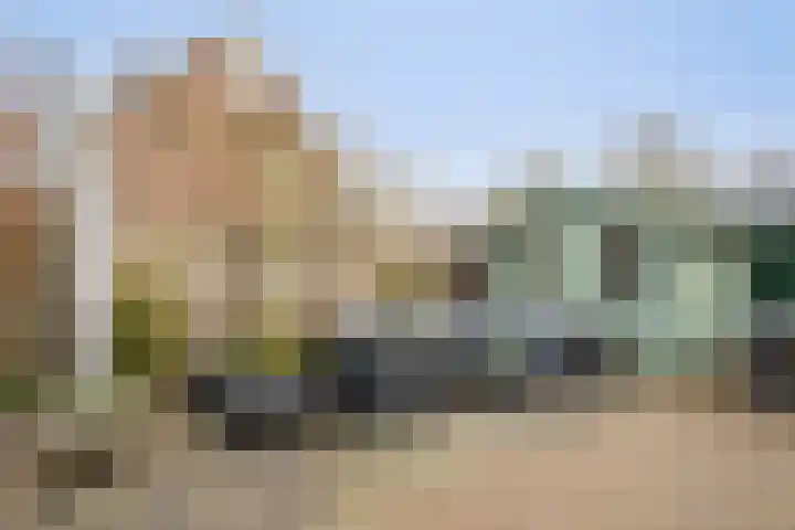 Bereklauw 1 Monnickendam thumbnail 19