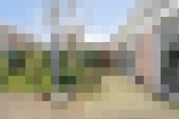 Bereklauw 1 Monnickendam thumbnail 20