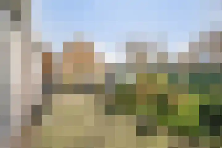 Bereklauw 1 Monnickendam thumbnail 21