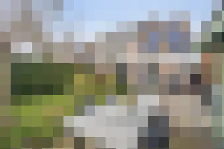 Bereklauw 1 Monnickendam thumbnail 22